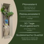 Weinrebe 'Terez' – Bild 2